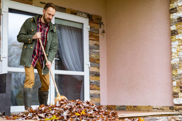 Best Dumpster Rental Services  in Reading, OH